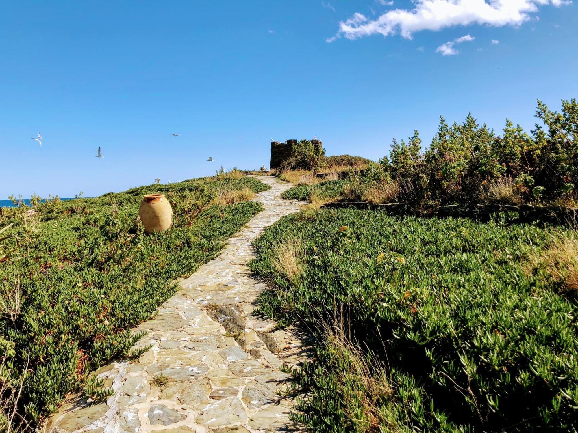 Isla Privada En Cadaques De Ensueno Con 11 Habitaciones Dobles Con Bano Privado Y Piscina エクステリア 写真