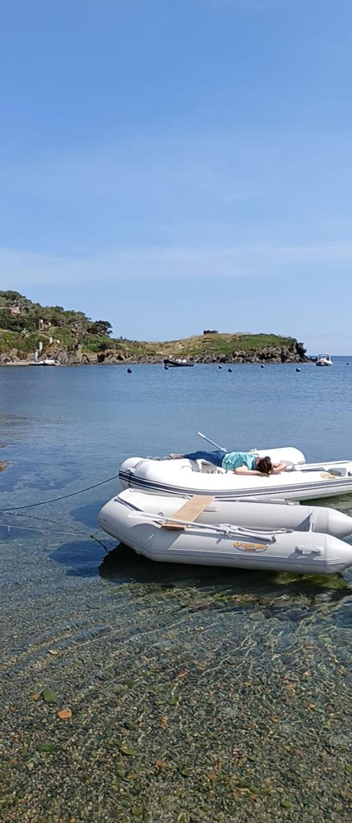 Isla Privada En Cadaques De Ensueno Con 11 Habitaciones Dobles Con Bano Privado Y Piscina エクステリア 写真
