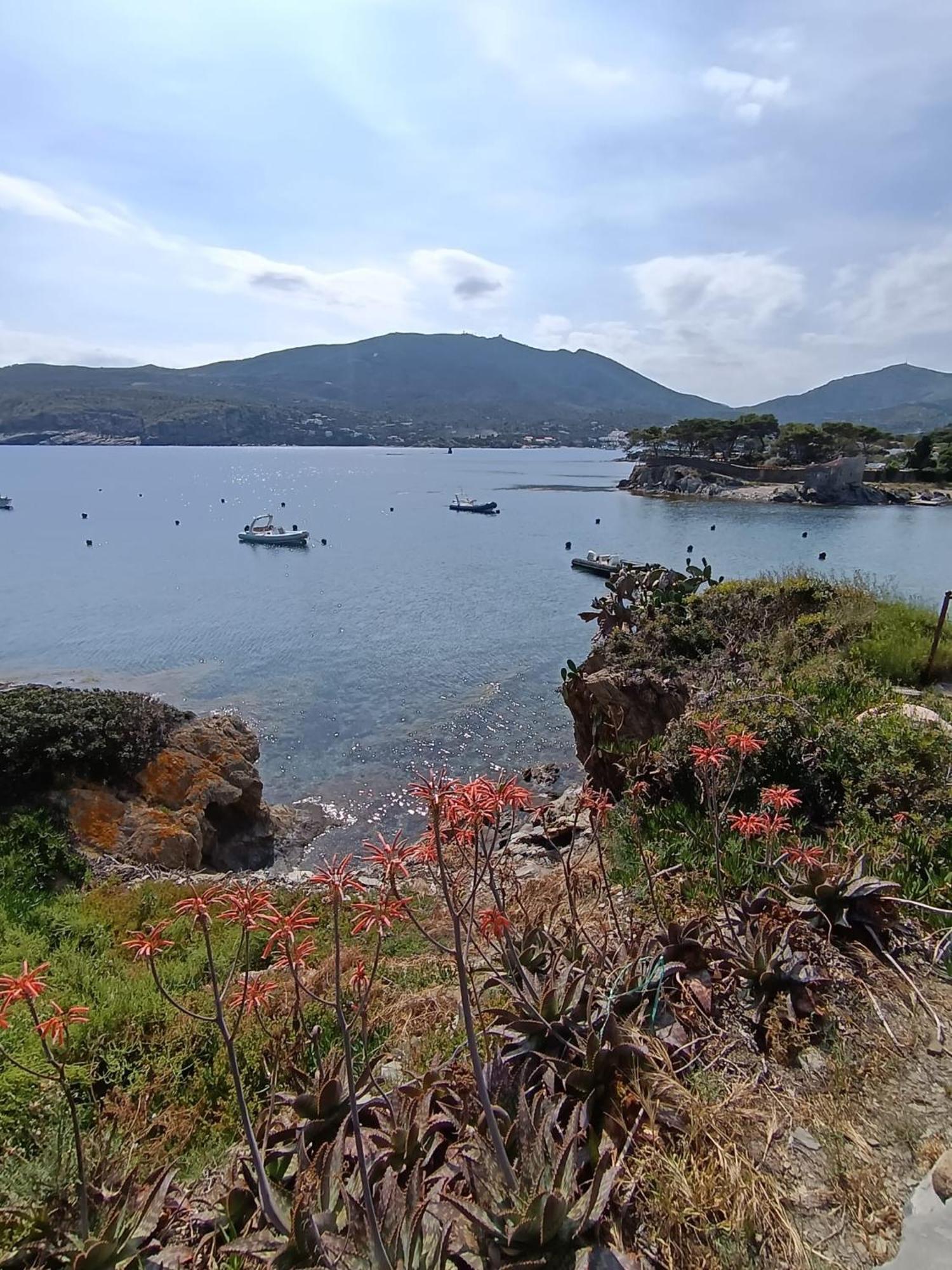 Isla Privada En Cadaques De Ensueno Con 11 Habitaciones Dobles Con Bano Privado Y Piscina エクステリア 写真