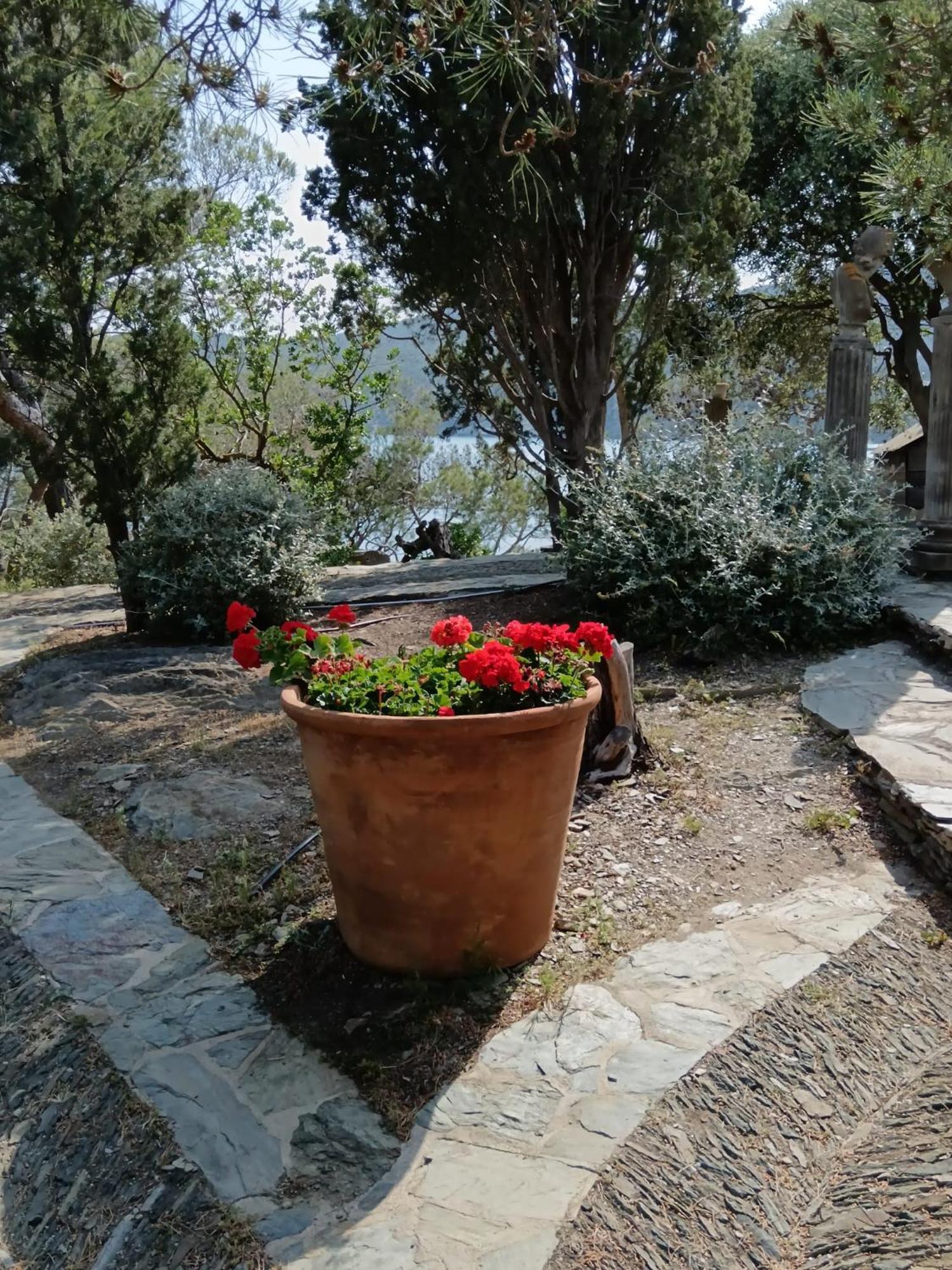 Isla Privada En Cadaques De Ensueno Con 11 Habitaciones Dobles Con Bano Privado Y Piscina エクステリア 写真