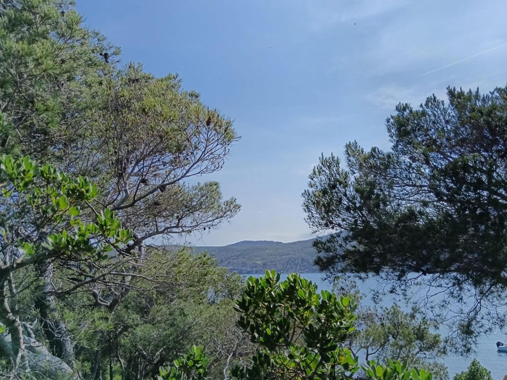 Isla Privada En Cadaques De Ensueno Con 11 Habitaciones Dobles Con Bano Privado Y Piscina エクステリア 写真
